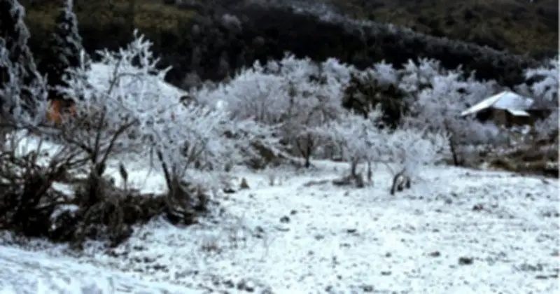 Miền Bắc chìm trong giá rét thấu xương, cảnh báo thời tiết nguy hiểm