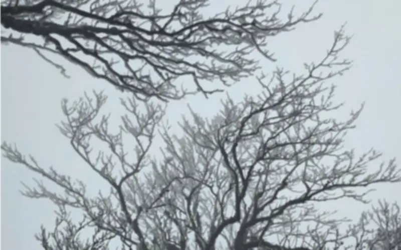 Miền Bắc đón đợt không khí lạnh cực mạnh, Hà Nội rét đậm, vùng núi cao đề phòng băng giá