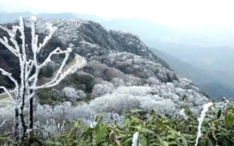 Miền Bắc đón đợt không khí lạnh mạnh, nhiệt độ giảm sâu, có nơi dưới 3 độ C