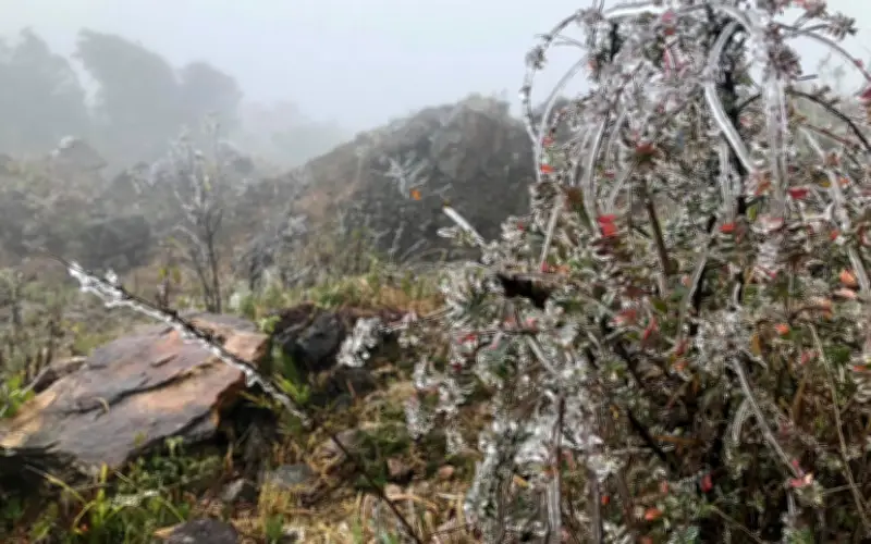 Miền Bắc đối mặt với đợt rét đậm, rét hại, nhiệt độ có nơi xuống dưới 3 độ C