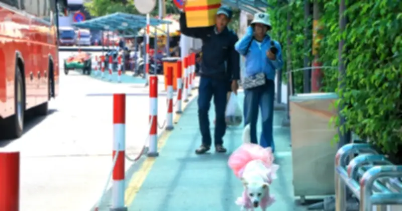 Mùng 2 Tết, Bến xe Miền Tây TP.HCM nhộn nhịp người trở lại thành phố