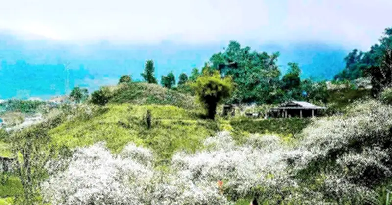 Mường Lống 'lột xác' từ vùng đất nghèo thành điểm du lịch hấp dẫn miền Tây Nghệ An