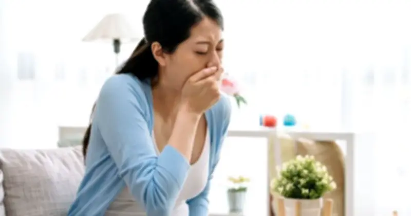 Mẹo Giảm Khó Chịu Do Ốm Nghén Cho Mẹ Bầu Trong Tam Cá Nguyệt Đầu