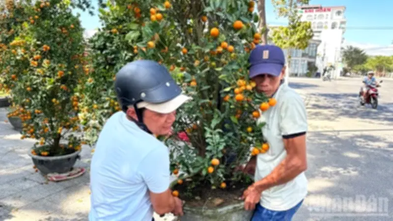 Nụ Cười Cuối Năm: Hạnh Phúc Giản Dị Từ Những Người Lao Động Miệt Mài