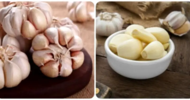 Ăn hai tép tỏi mỗi sáng: Lợi ích sức khỏe và những lưu ý quan trọng