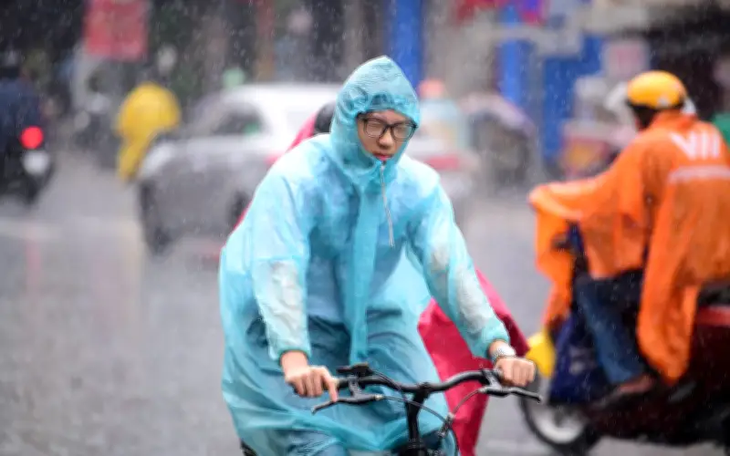 Nam Bộ tiếp tục mưa trái mùa, Bắc Bộ đối mặt nguy cơ nồm ẩm sau mưa