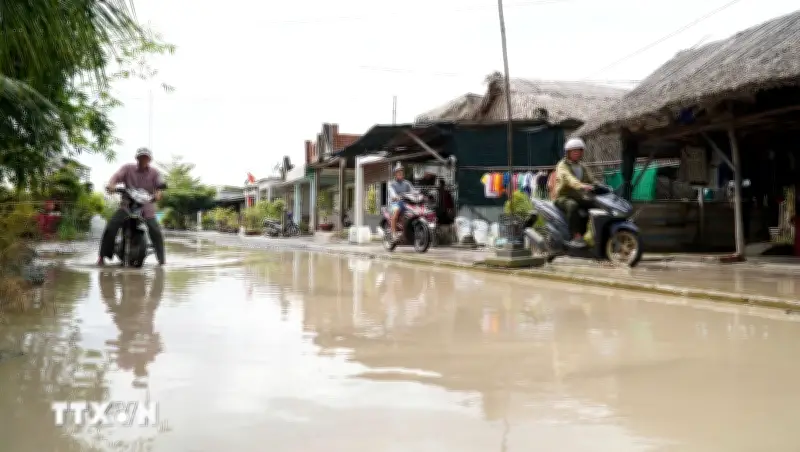 Nam Bộ chủ động ứng phó triều cường xâm nhập mặn dịp Tết Bính Ngọ