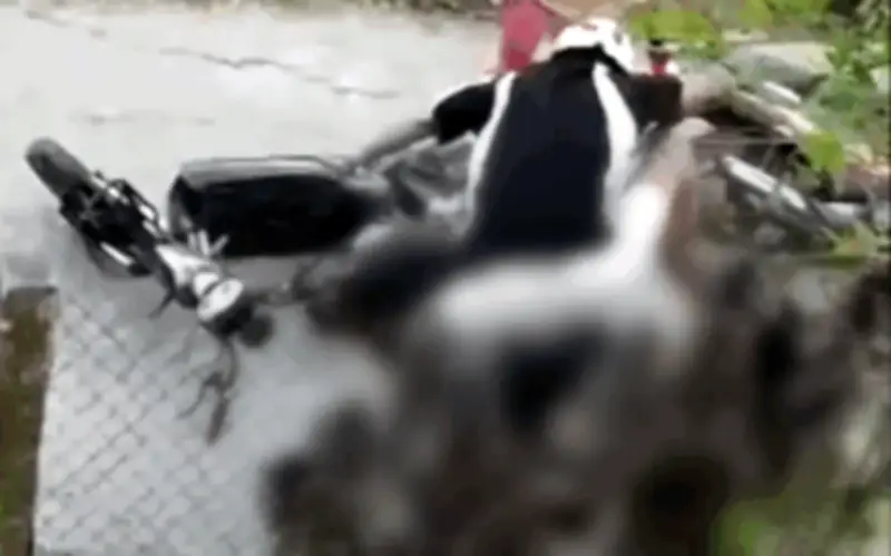 Nam sinh lớp 9 bị vật xuống đường, đánh đập dã man sau va quẹt giao thông