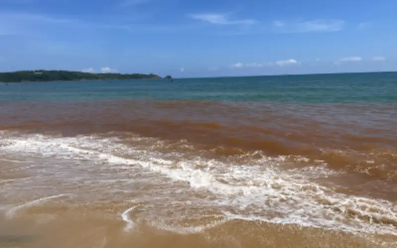 Nước biển đổi màu đỏ ở Gia Lai: Không phải tảo nở hoa mà do đất sét