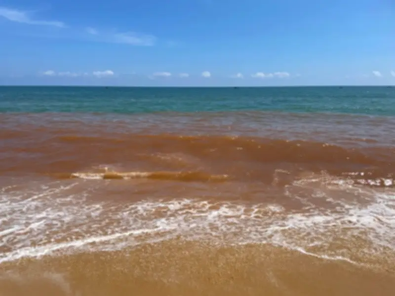 Nước biển Nha Trang chuyển màu nâu đỏ bất thường, nghi ngờ hiện tượng thủy triều đỏ