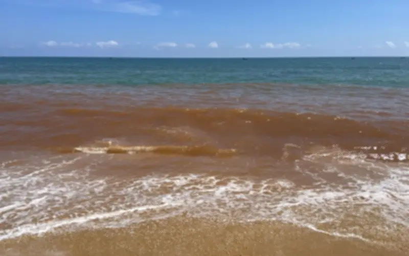 Nước biển Tam Quan chuyển màu đỏ kỳ lạ, cơ quan chức năng vào cuộc tìm nguyên nhân