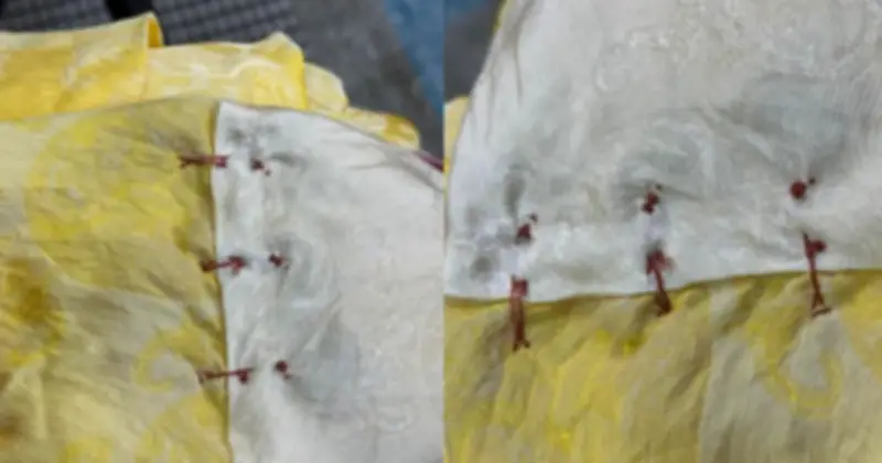 Áo dài gần 2 triệu đồng bị chê đường may ẩu, cộng đồng mạng phẫn nộ