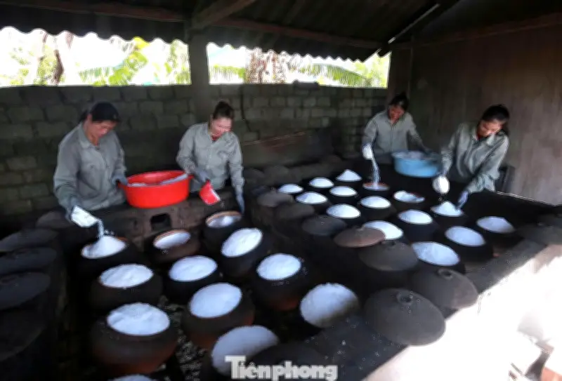 Ông Bùi Xuân Điện Làm Sống Lại Nghề Muối 400 Năm Với Sản Phẩm Muối Hầm Độc Đáo