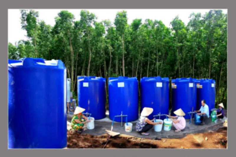 Đồng Bằng Sông Cửu Long: Thách Thức Kép Và Bốn Trụ Cột Cho Phát Triển Bền Vững