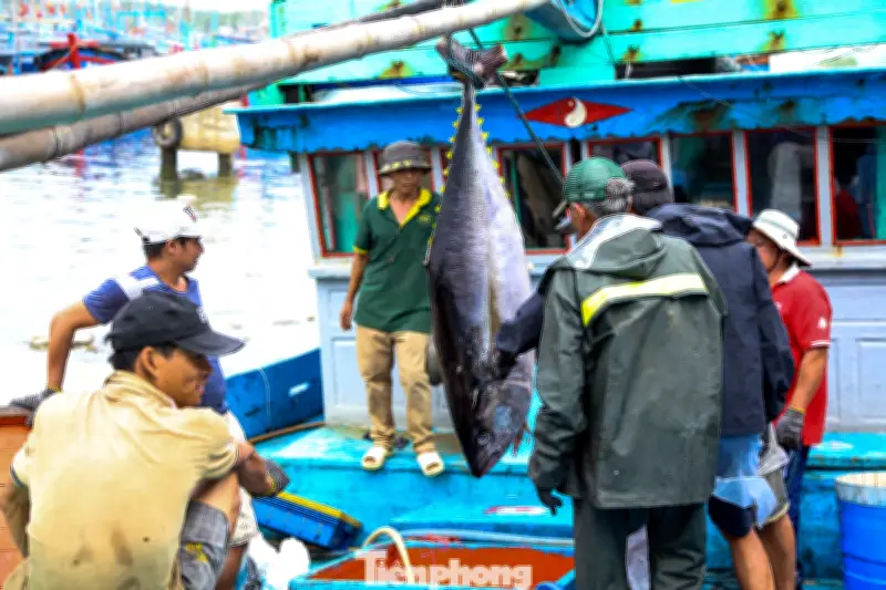 Ngư dân Gia Lai vươn khơi đón Tết, bám biển giữ chủ quyền