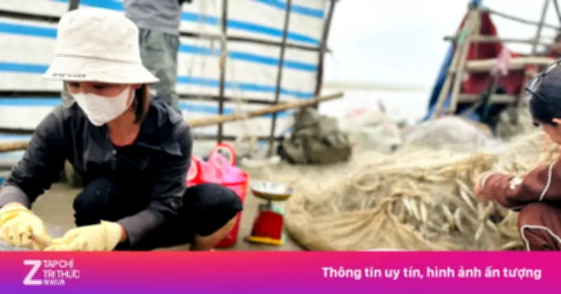 Ngư dân Hà Tĩnh 'hốt bạc' đầu năm với 'lộc biển' giá cao