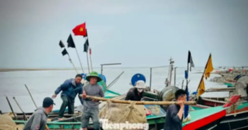 Ngư dân Hà Tĩnh đón 'lộc biển' đầu năm, thu tiền triệu mỗi ngày từ hải sản tươi