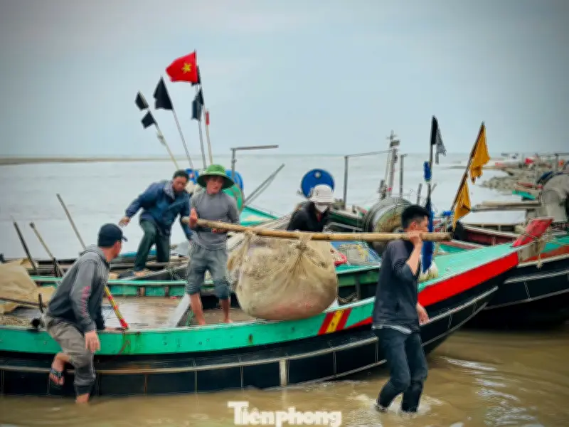 Ngư dân Hà Tĩnh trúng lớn 'lộc biển' đầu năm, thu tiền triệu mỗi ngày