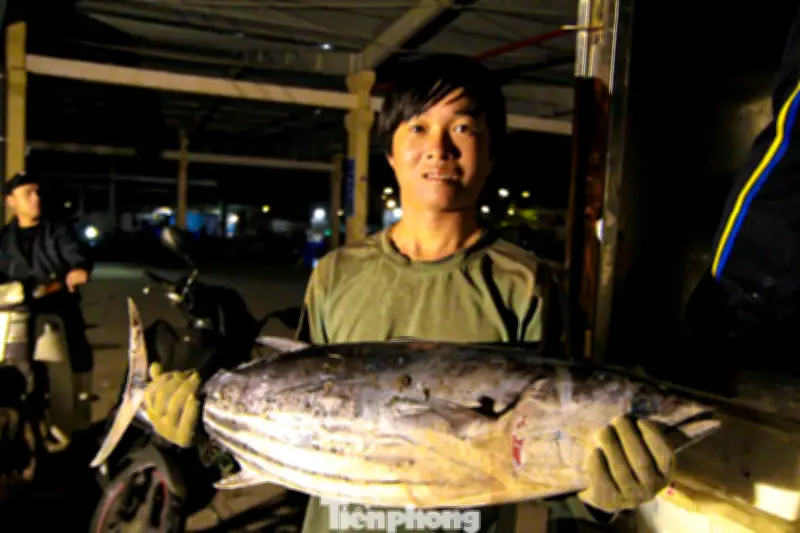 Ngư dân Đà Nẵng phấn khởi với giá hải sản tăng cao dịp cận Tết