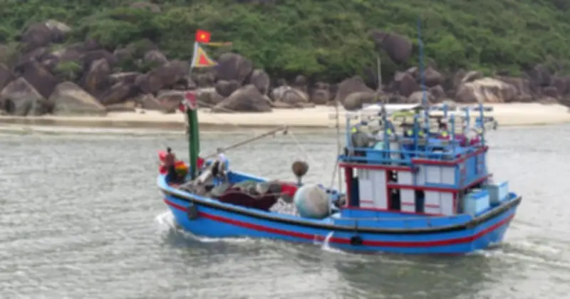 Ngư dân Quảng Ngãi khai chánh đầu năm, cầu ngư truyền thống bên cửa biển Mỹ Á