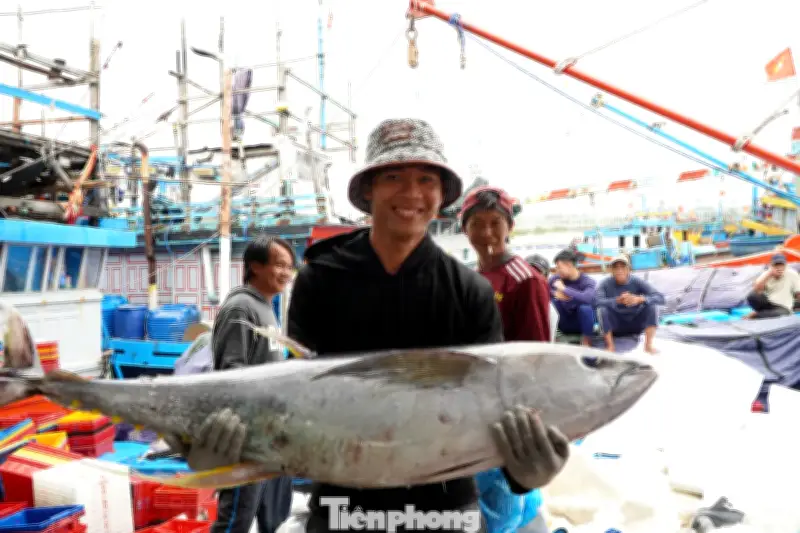 Ngư dân Quảng Ngãi đón Tết sung túc nhờ mùa cá bội thu tại Hoàng Sa, Trường Sa