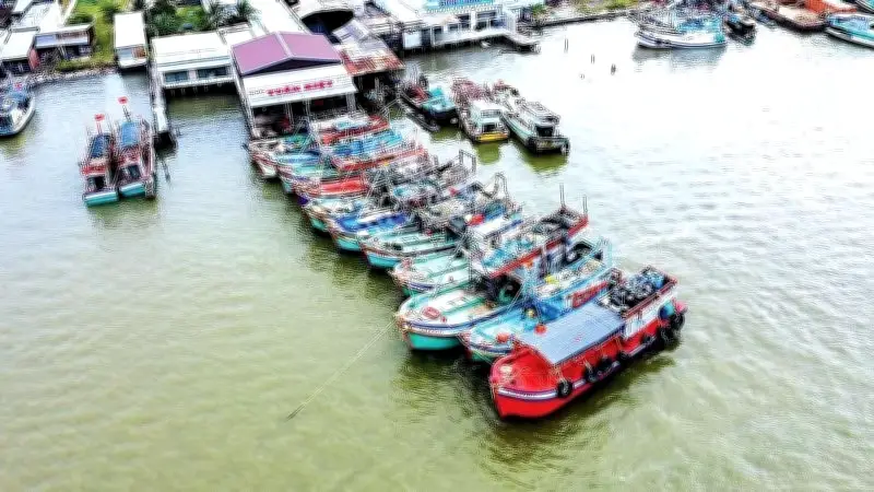 Ngư dân Sông Đốc, Cà Mau trúng đậm chuyến biển cuối năm, thu lãi hàng trăm triệu