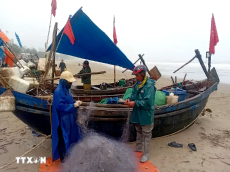 Ngư dân Thanh Hóa hối hả ra khơi trong những ngày đầu năm mới