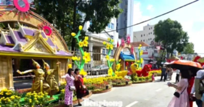 Đường Hoa Cần Thơ Rực Rỡ Với Hơn 30 Mô Hình Và 50 Ngàn Chậu Hoa Tươi