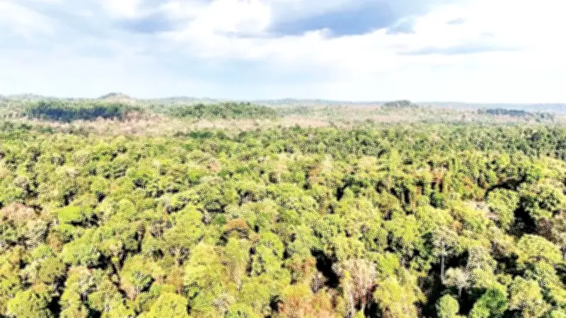 Đồng Nai: Hành trình ba thập kỷ bảo vệ rừng và phát triển du lịch sinh thái bền vững