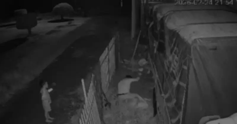 Đồng Tháp: Bé khóc van xin ba đừng xử lý mẹ, hung thủ dùng hung khí đâm liên tiếp