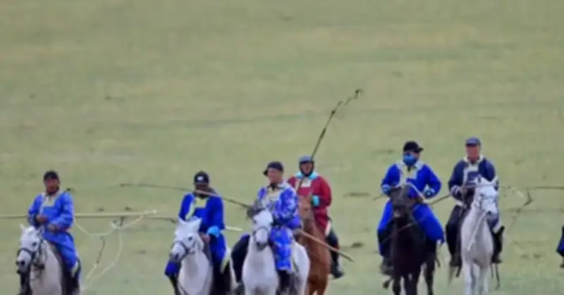 Ngựa - Linh hồn trong đời sống du mục của người Mông Cổ