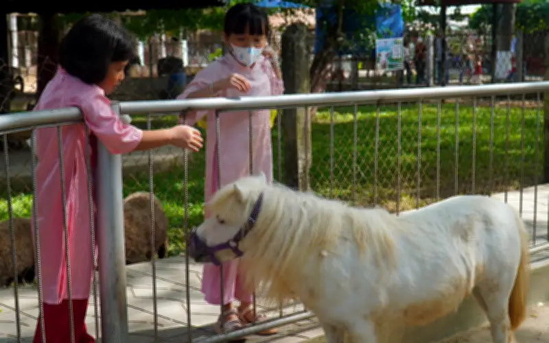 Ngựa lùn Pony thu hút du khách tại Trại rắn Đồng Tâm dịp Tết Bính Ngọ 2026