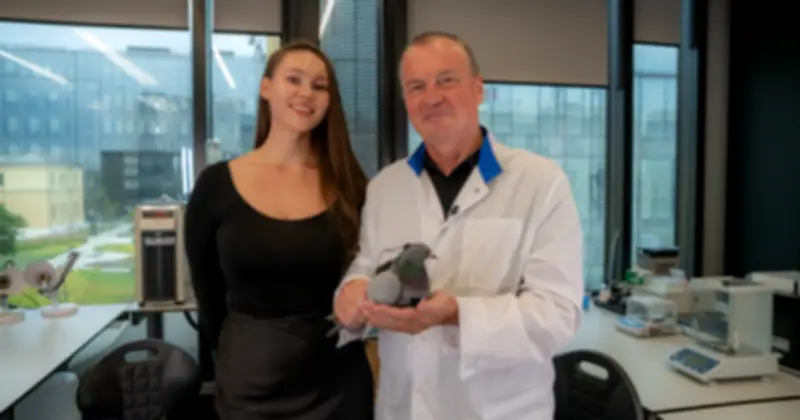 Nga Thử Nghiệm Cấy Chip Não Điều Khiển Chim Bồ Câu Thành Công Cụ Giám Sát