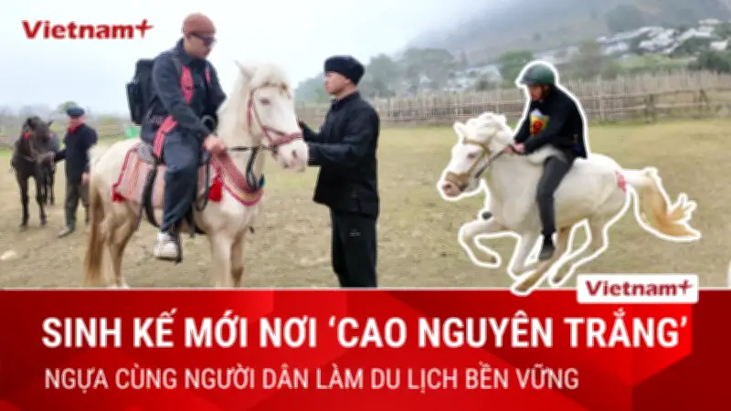 Ngựa Tùng Vó Điểm Nhãn Độc Đáo: Điểm Hút Khách Du Lịch Tới Cao Nguyên Tràng