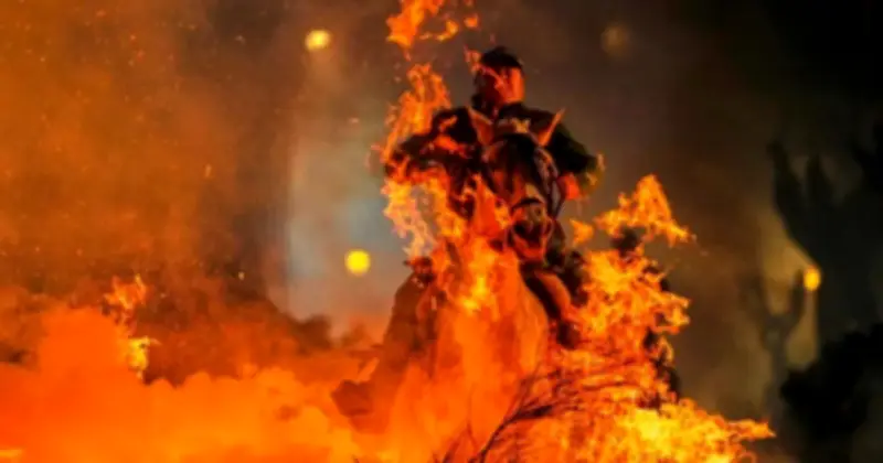 Ngựa trong văn hóa nhân loại: Biểu tượng quyền lực, tự do và tâm linh