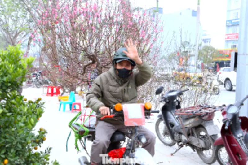 Nghề chở cây cảnh Tết ở Nghệ An: Mưu sinh trong không khí xuân