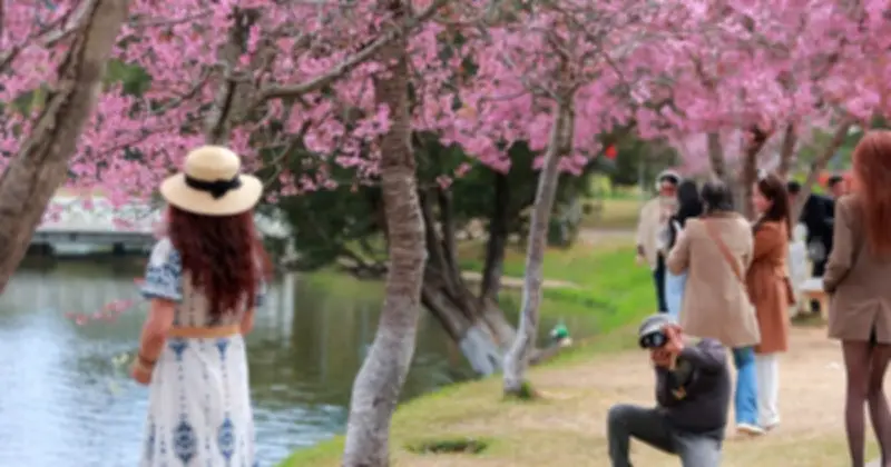 Nghề chụp ảnh dạo Đà Lạt hồi sinh nhờ chuyển đổi số: 10.000 đồng/file, thu nhập tiền triệu