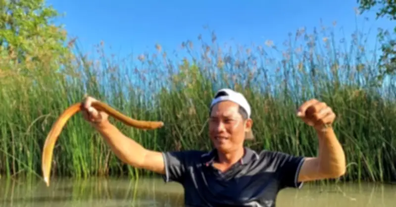 Nghề Cắm Câu Lịch: Món Đặc Sản Từ Vuông Tôm Cà Mau Giúp Người Dân Kiếm Thêm Thu Nhập