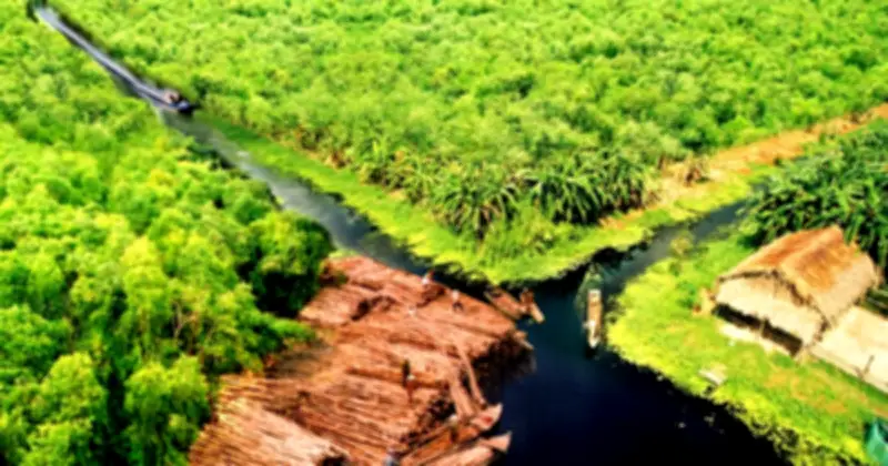 Nghề Gác Kèo Ong U Minh Hạ: Di Sản Văn Hóa Giữa Rừng Tràm