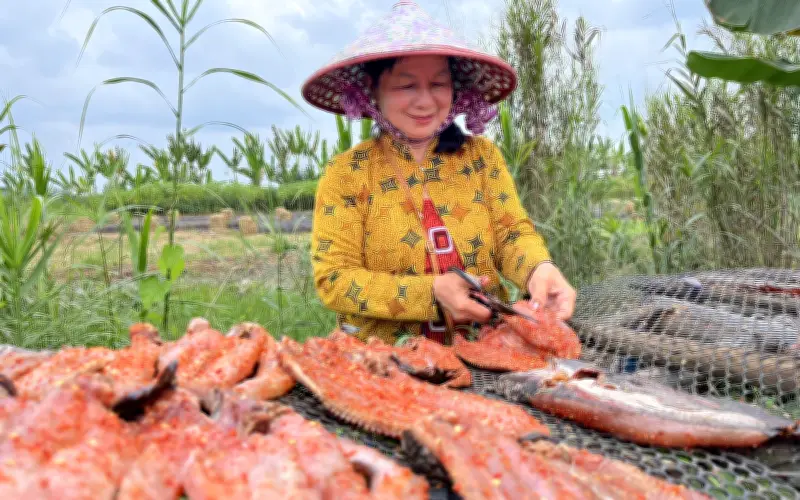 Nghề làm khô cá lóc truyền thống ở Cần Thơ tất bật phục vụ Tết