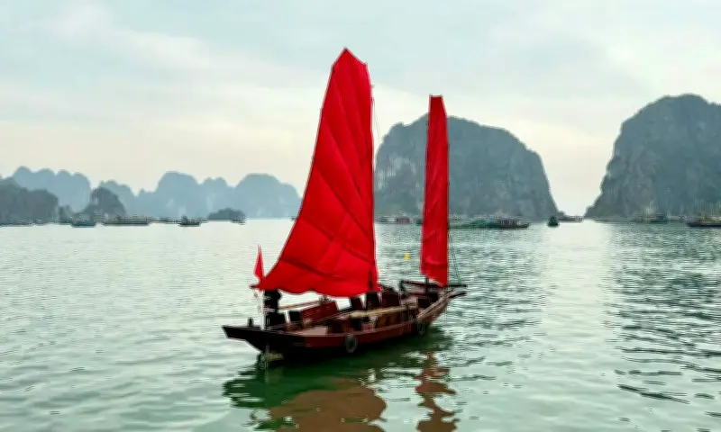 Nghệ nhân 77 tuổi hồi sinh thuyền buồm ba vách cánh dơi trên vịnh Hạ Long