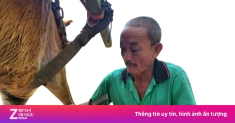 Nghệ Nhân Đóng Móng Ngựa Cù Lao Thới Sơn: Giữ Lửa Nghề Gia Truyền Giữa Dòng Sông Tiền