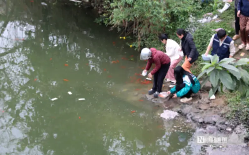 Nghệ An: Thả cá chép ông Công ông Táo gặp khó vì ô nhiễm tro, rác trên sông