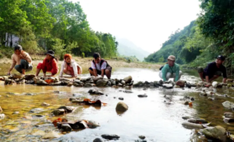 Nghi Lễ Tâm Linh Độc Đáo: Đạp Chân Sàn Cá Suối Của Đồng Bào Cơ Tu Ở Quảng Ngãi