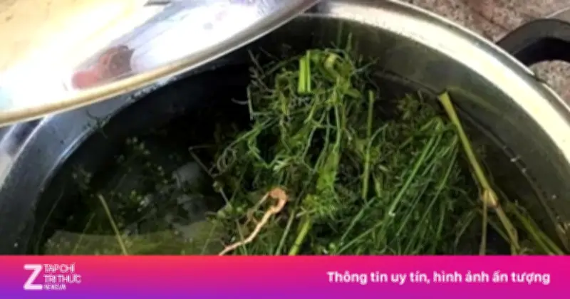 Nghi Lễ Tắm Tất Niên: Tẩy Trần Đón Năm Mới Trong Văn Hóa Việt