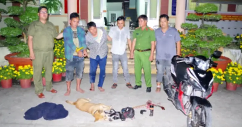 Nghi phạm trộm chó dùng súng điện hối cây chống trả công an khi bị phát hiện
