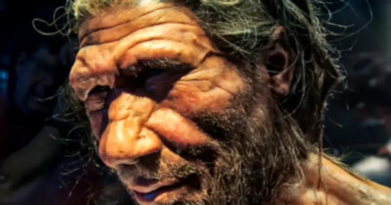 Nghiên cứu mới hé lộ: Phụ nữ Homo sapiens kết đôi với nam giới Neanderthal