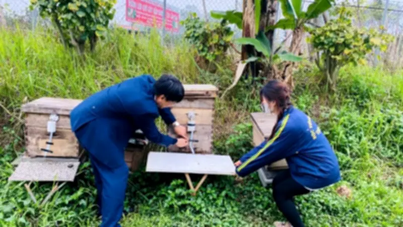 Nghiên cứu mật ong Việt: Phát hiện hợp chất mới, hướng tới tiêu chuẩn hóa sản phẩm