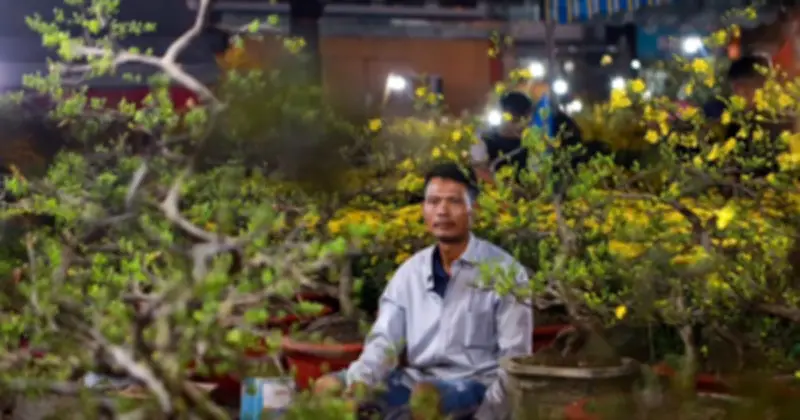 Người bán mai Tết ở Sài Gòn: 110 gốc mai còn trơ trọi, lo lắng không về kịp ăn Tết