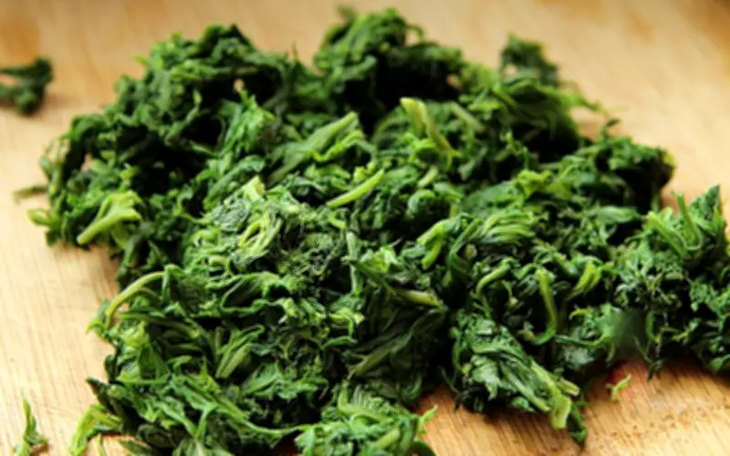 Ngải Cứu: Từ Món Ăn Quen Thuộc Đến Vị Thuốc Quý Trong Y Học Cổ Truyền